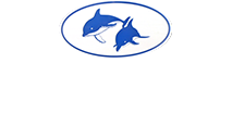 美ら海ダイバーズ